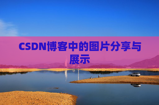 CSDN博客中的图片分享与展示